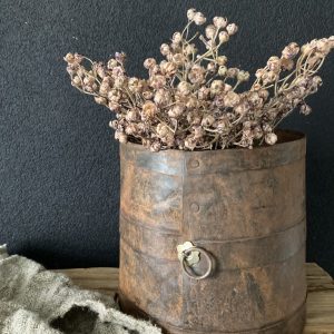 bosje Ilex Serrata bruin