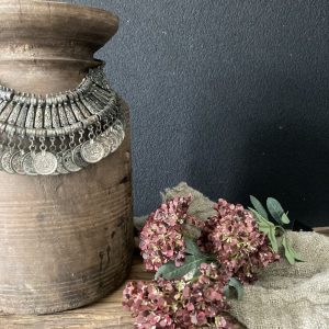 hortensia