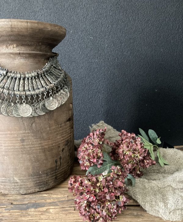 hortensia