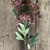 hydrangea spray brown