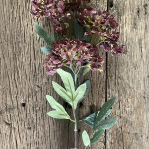 hydrangea spray brown