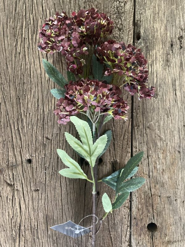 hydrangea spray brown