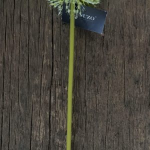 Onion ball flower spray green (s)