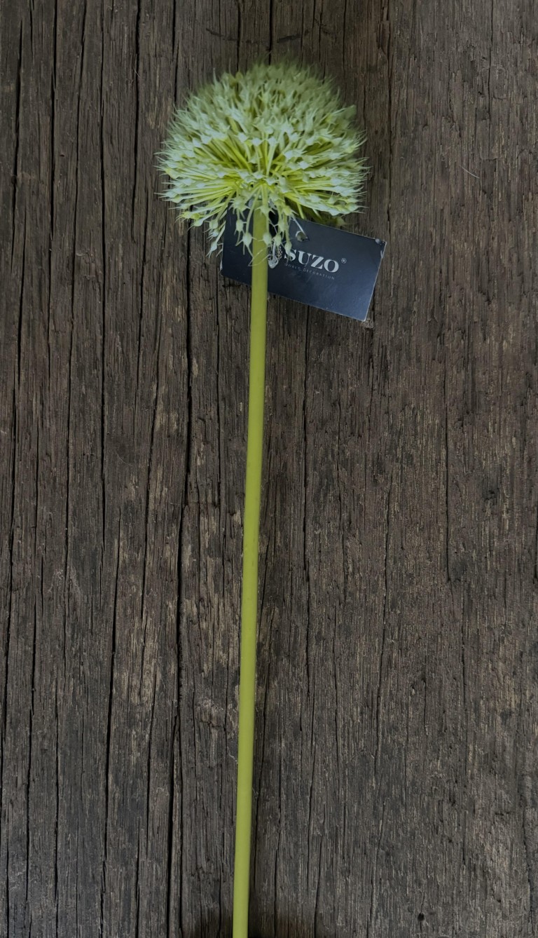 Onion ball flower spray green (s)